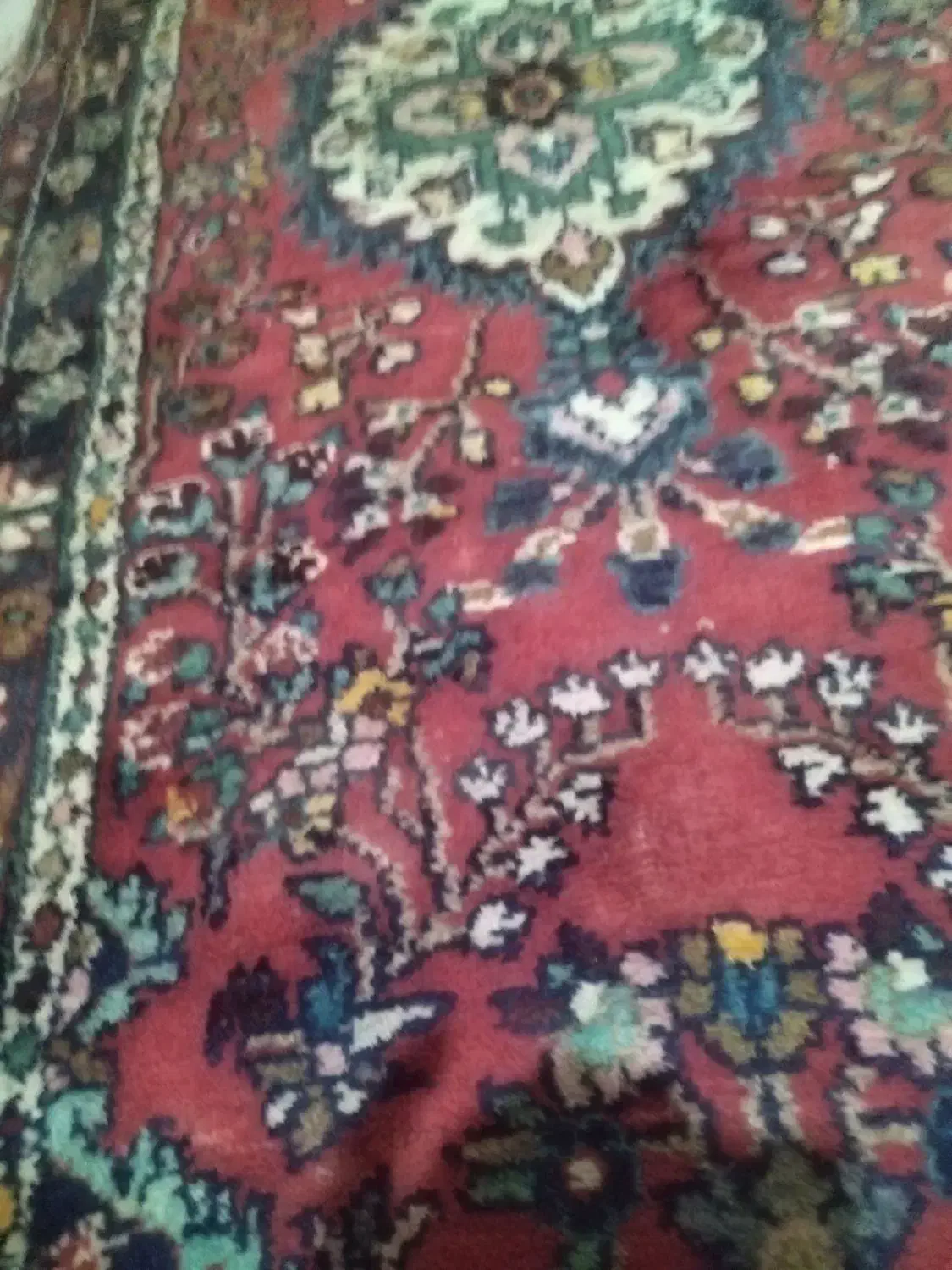 فرش کناره دست باف ناب|فرش|کرمانشاه, |دیوار