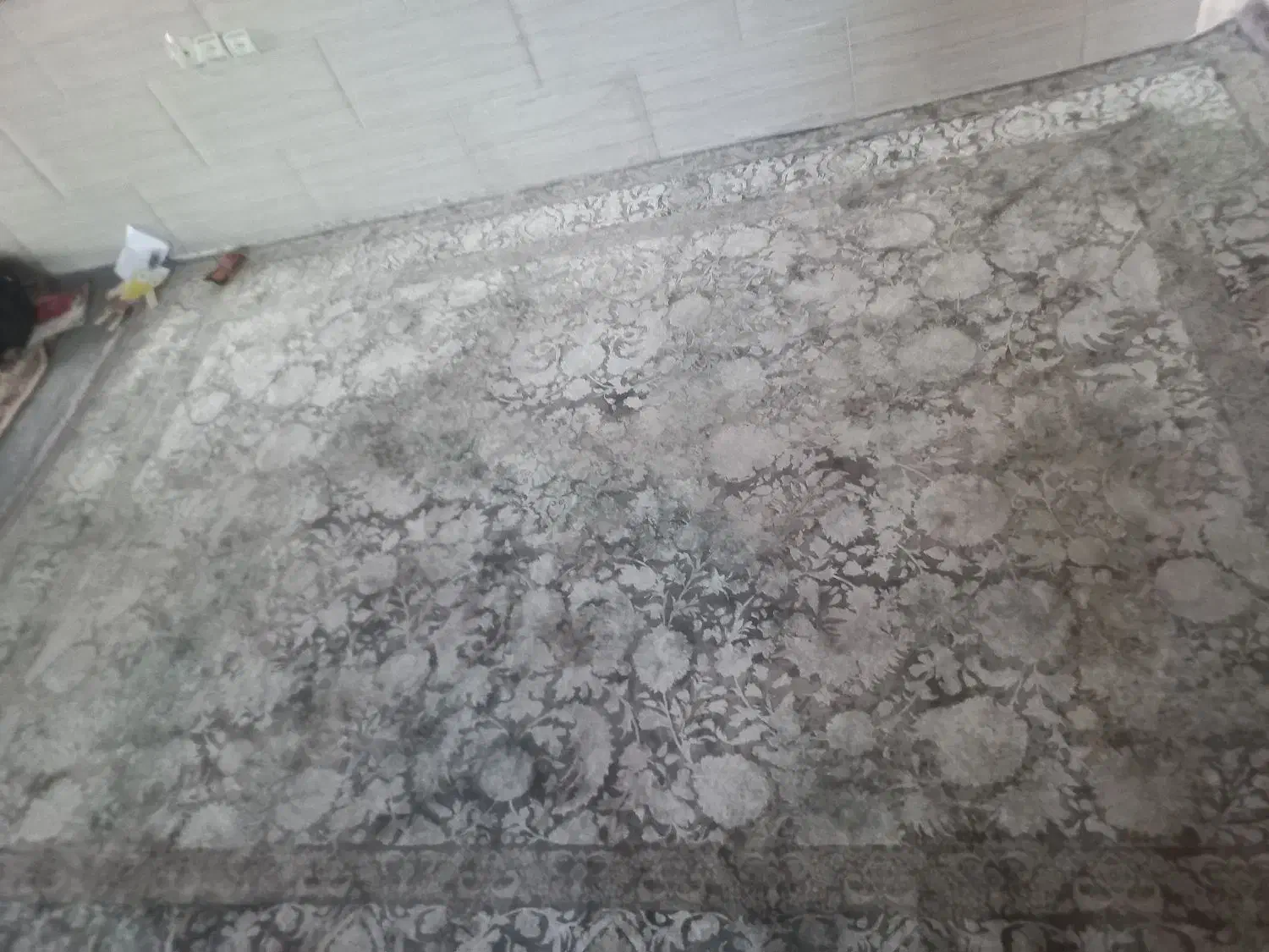 دو عدد فرش|فرش|تاکستان, |دیوار