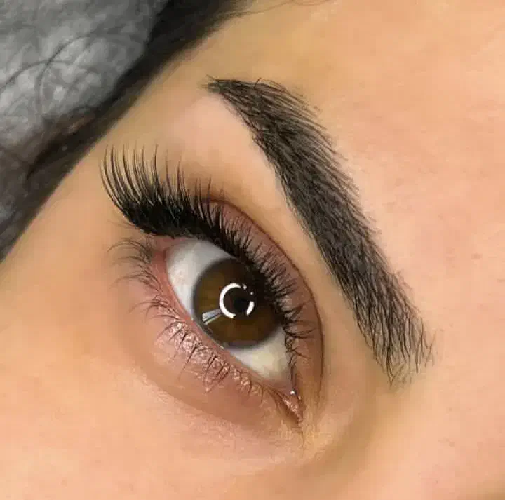 اکستشن و کاشت گیاهی در سنندج|خدمات آرایشگری و زیبایی|سنندج, |دیوار