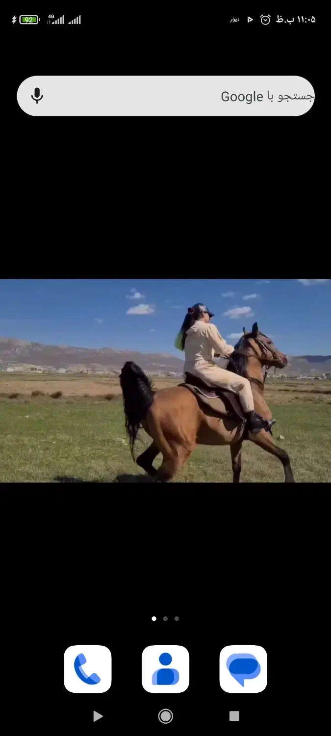 سیلمی دره شوربامدرک فدراسیون|اسب و تجهیزات اسبسواری|یزد, |دیوار