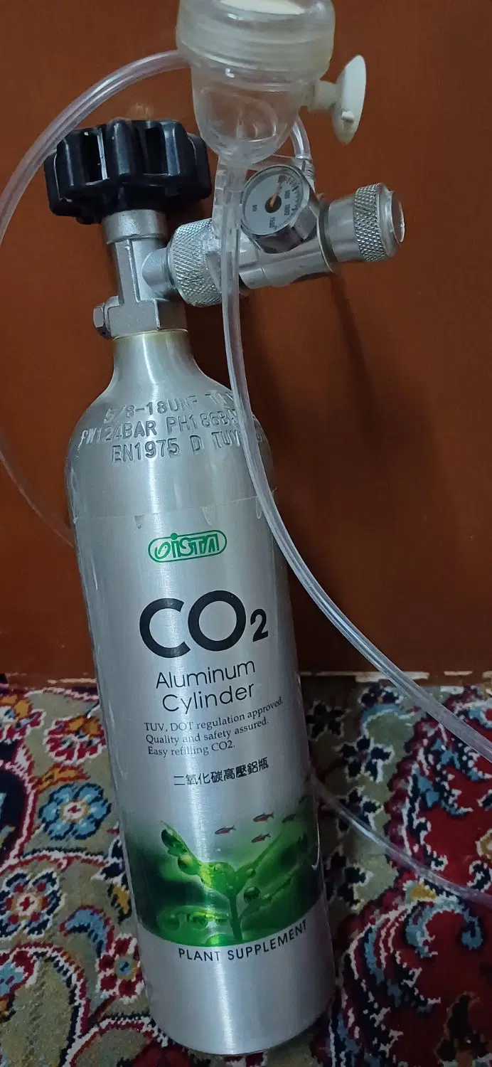 کپسول co2|ماهی|قم, مسجد امام حسن|دیوار