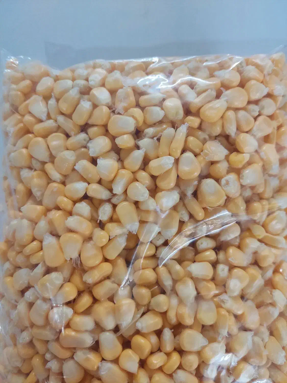 فروش ذرت تازه|خوردنی و آشامیدنی|سبزوار, فرهنگیان|دیوار