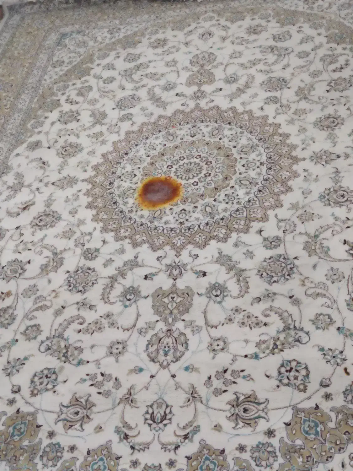 فرش  12درجه یک 500شانه|فرش|صدرا-فارس, فاز ۱|دیوار