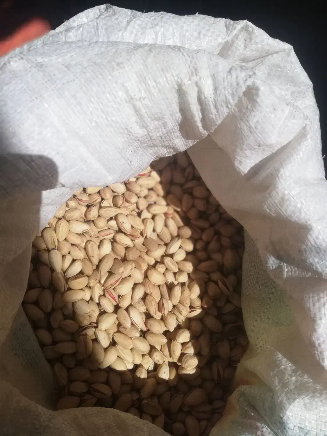 پسته دهن باز خندان|خوردنی و آشامیدنی|درمیان, |دیوار