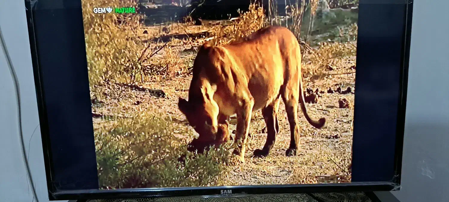 تلویزیون ۳۲.اینج سام الکتریک|تلویزیون و پروژکتور|خرم‌آباد, |دیوار