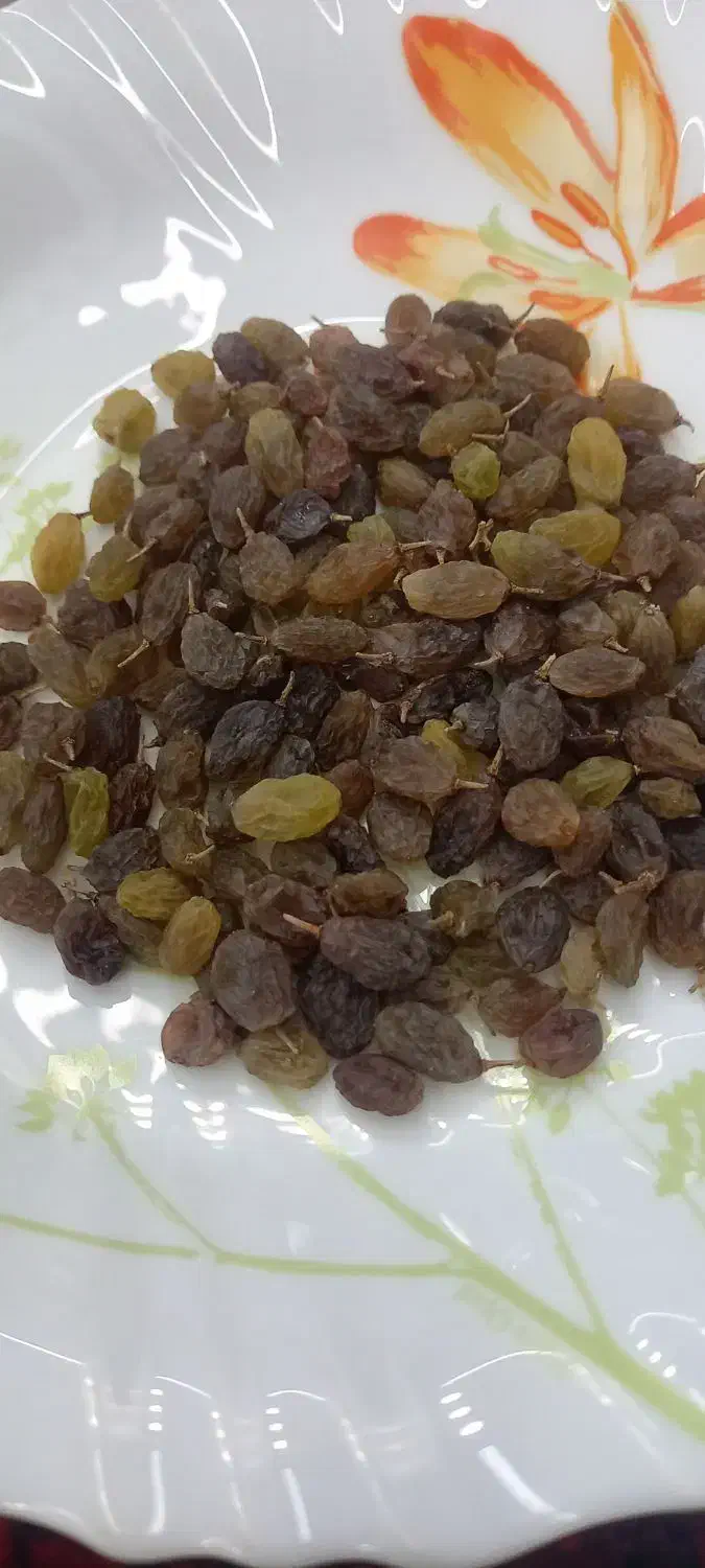 شیره ،سایه خشک و کشمش آفتابی درجه یک|خوردنی و آشامیدنی|ملایر, |دیوار