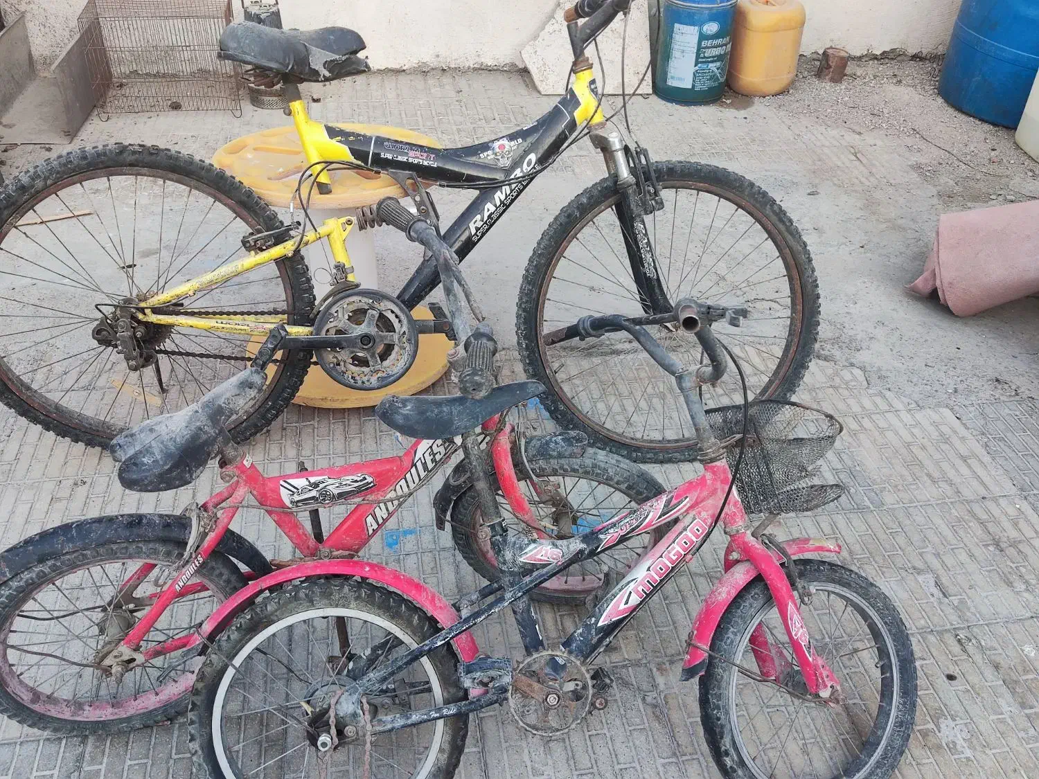 دوچرخه|دوچرخه، اسکیت، اسکوتر|بندرعباس, |دیوار