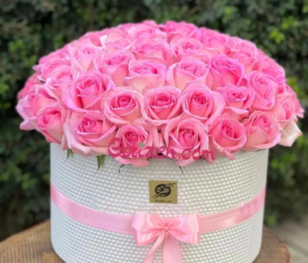 پول نیازمندم با سفته|فعالیت داوطلبانه|آستارا, |دیوار