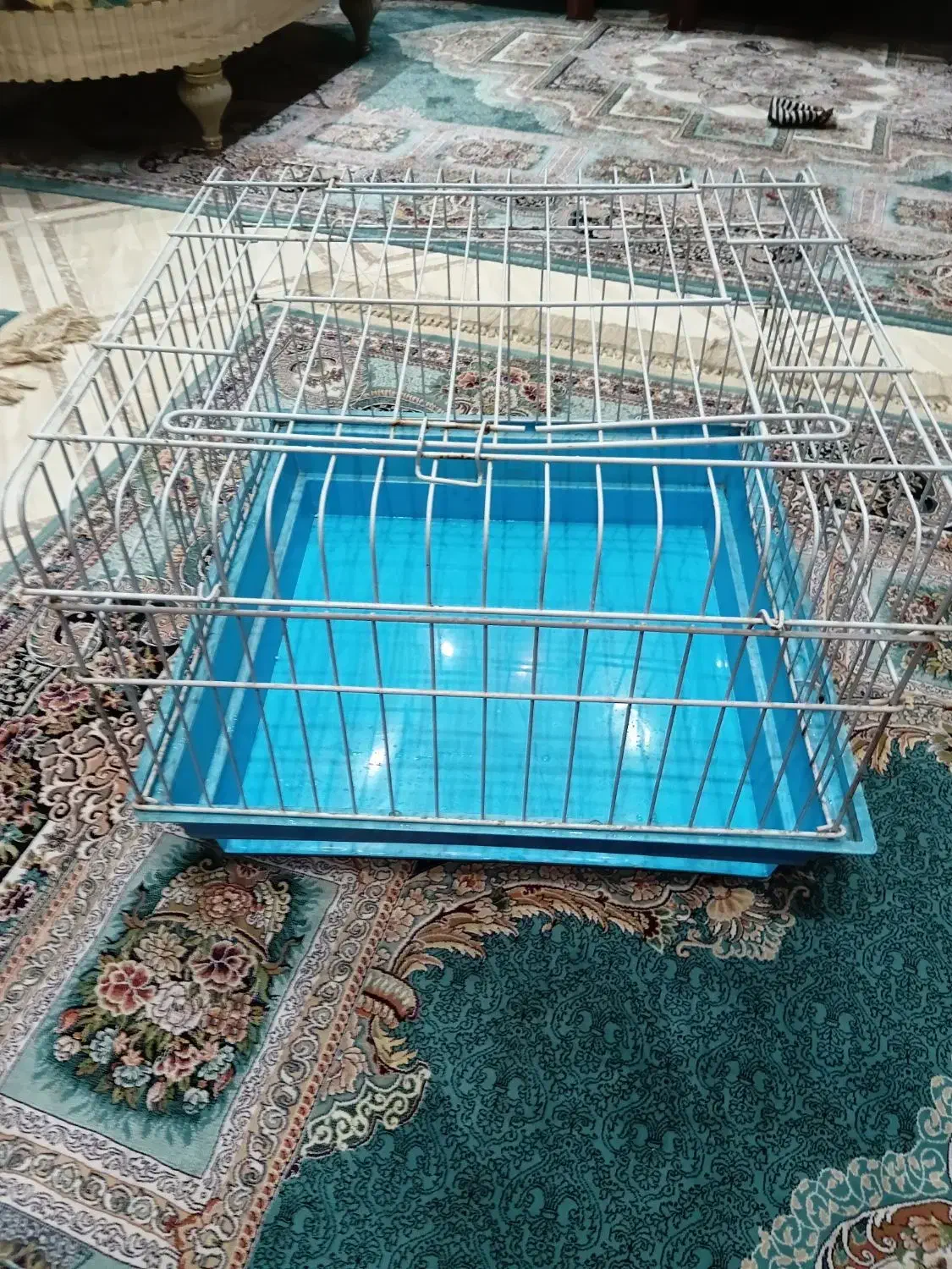 قفس خرگوش|لوازم جانبی حیوانات|شیراز, آزادگان|دیوار