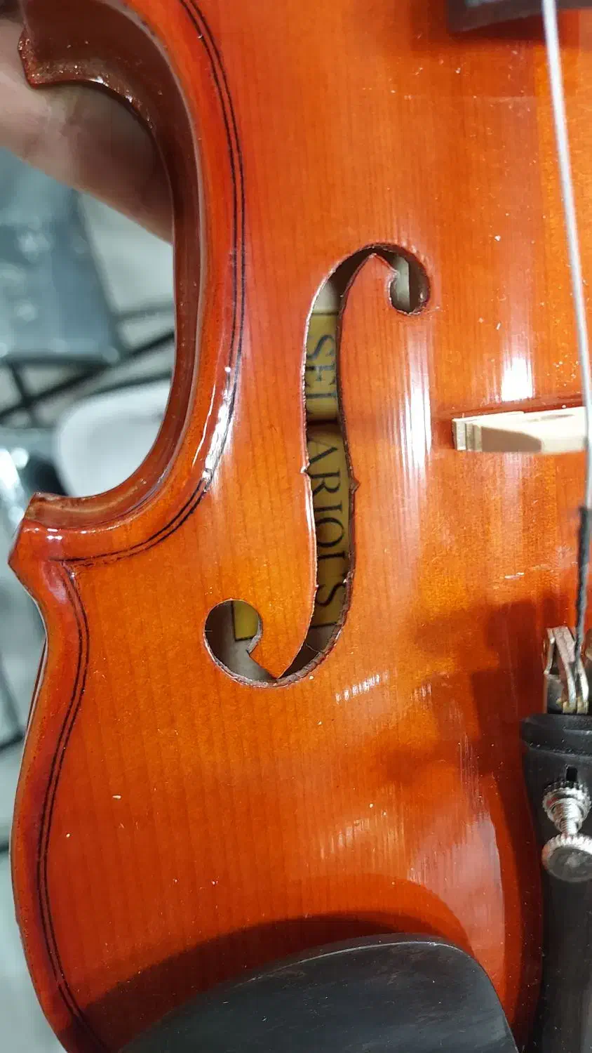 ویولن فونیکس ویلن Phoenix vp&mvp|ویولن|اهواز, کیانپارس |دیوار