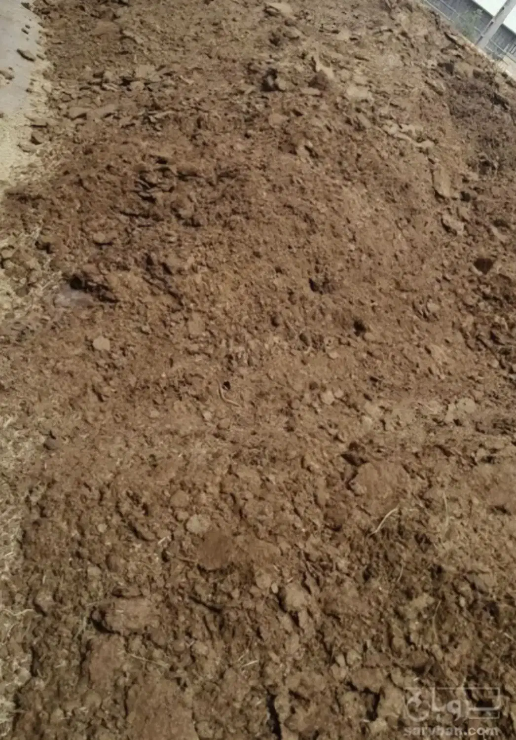 کود اسب|خدمات باغبانی و درختکاری|بیرجند, |دیوار