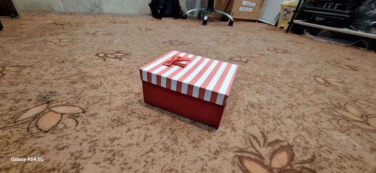 فروش تعدادی جعبه های هدیه به مناسبت روز دختر|زیورآلات و اکسسوری|شیراز, نصر|دیوار