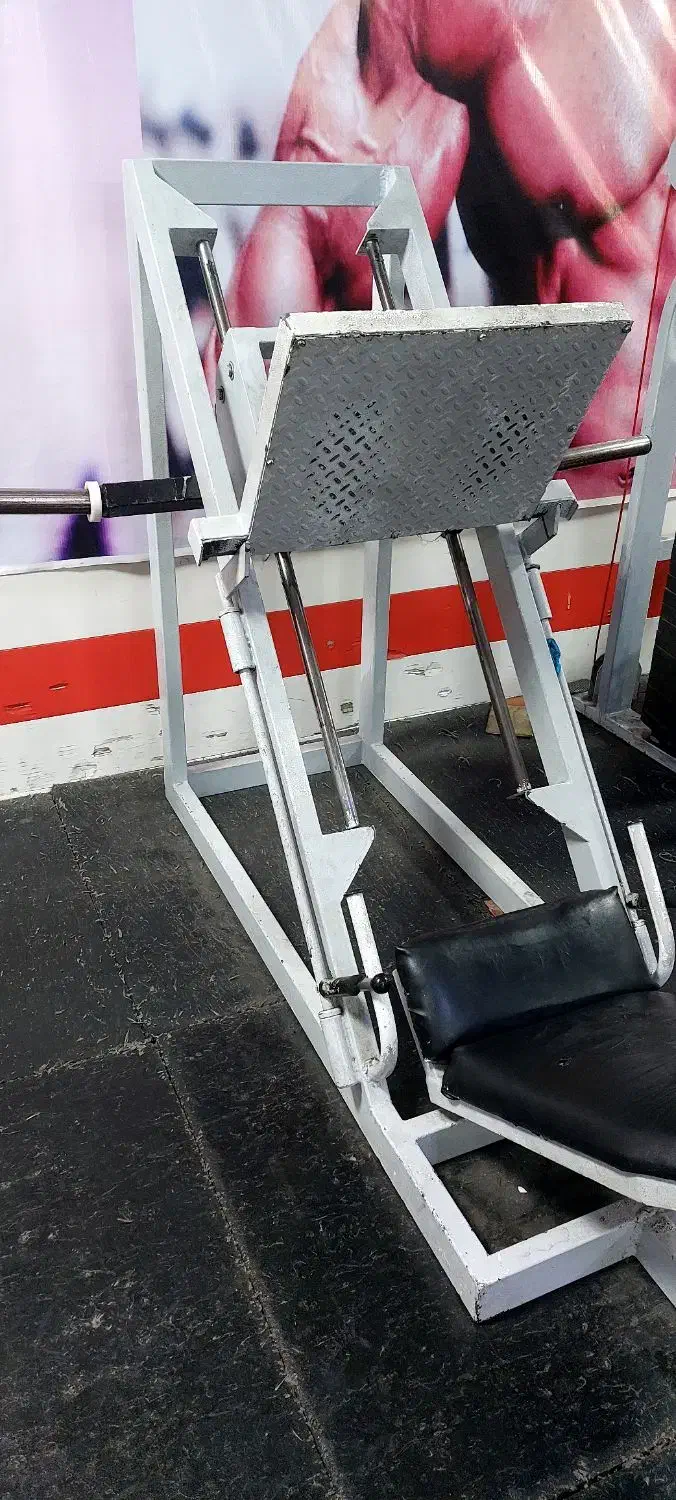 فروش ۲عدد دستگاه بدنسازی|تجهیزات ورزشی|مسجد سلیمان, |دیوار