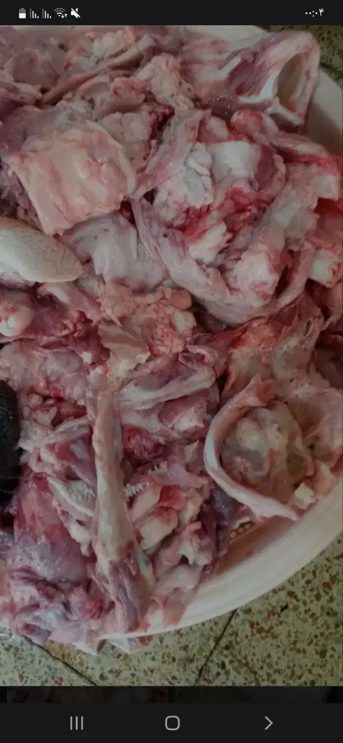 ضایعات گوشت|لوازم جانبی حیوانات|خمینی‌شهر, |دیوار