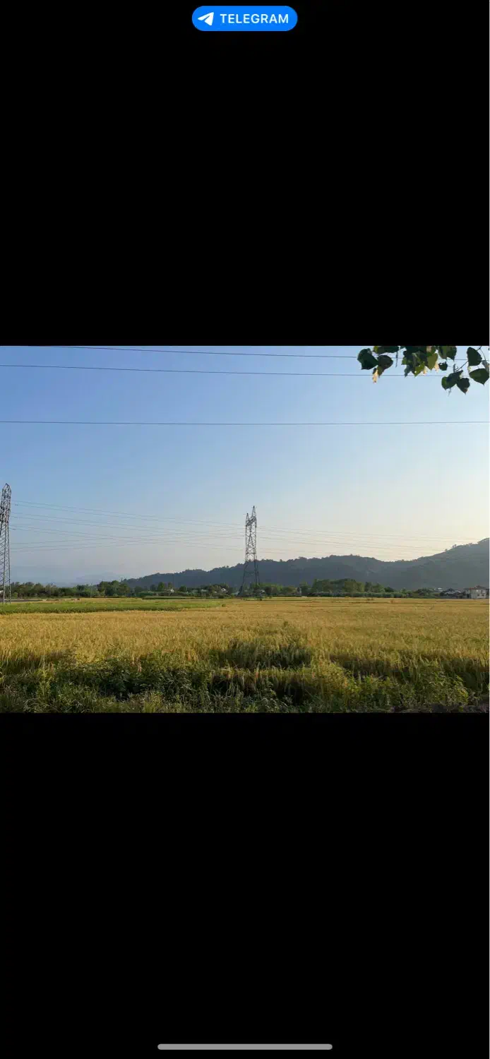 ویلایی قدیمی|فروش خانه و ویلا|کومله, |دیوار