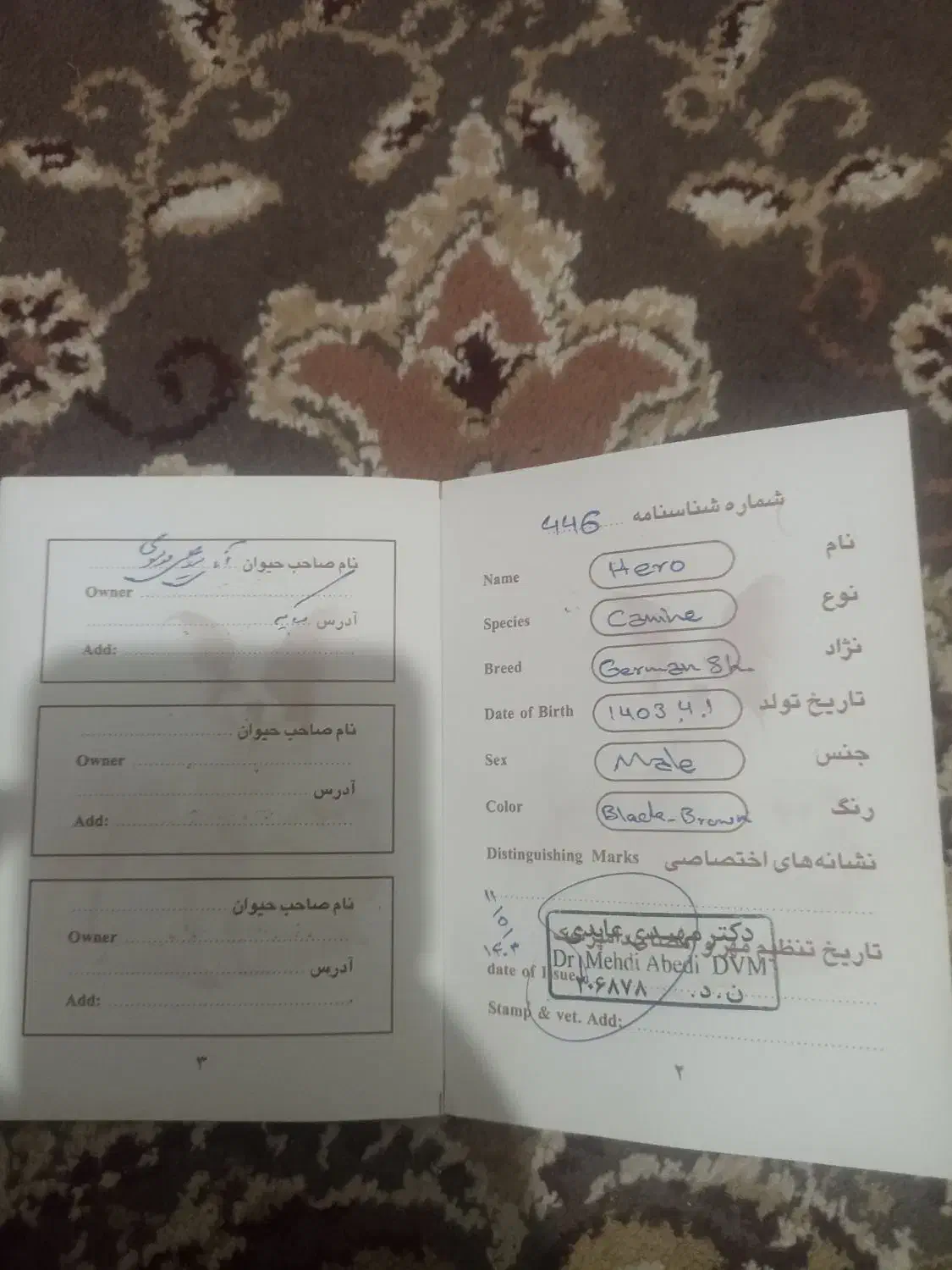 سگ ژرمن|سگ|مبارکه, |دیوار