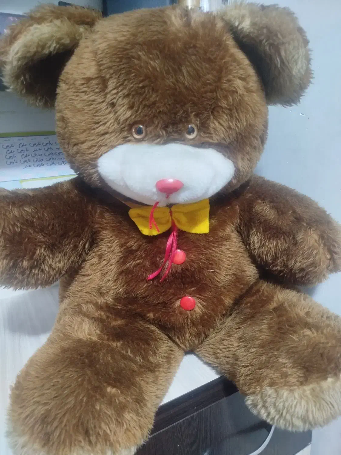 خرس|اسباب‌بازی بچه|تبریز, |دیوار