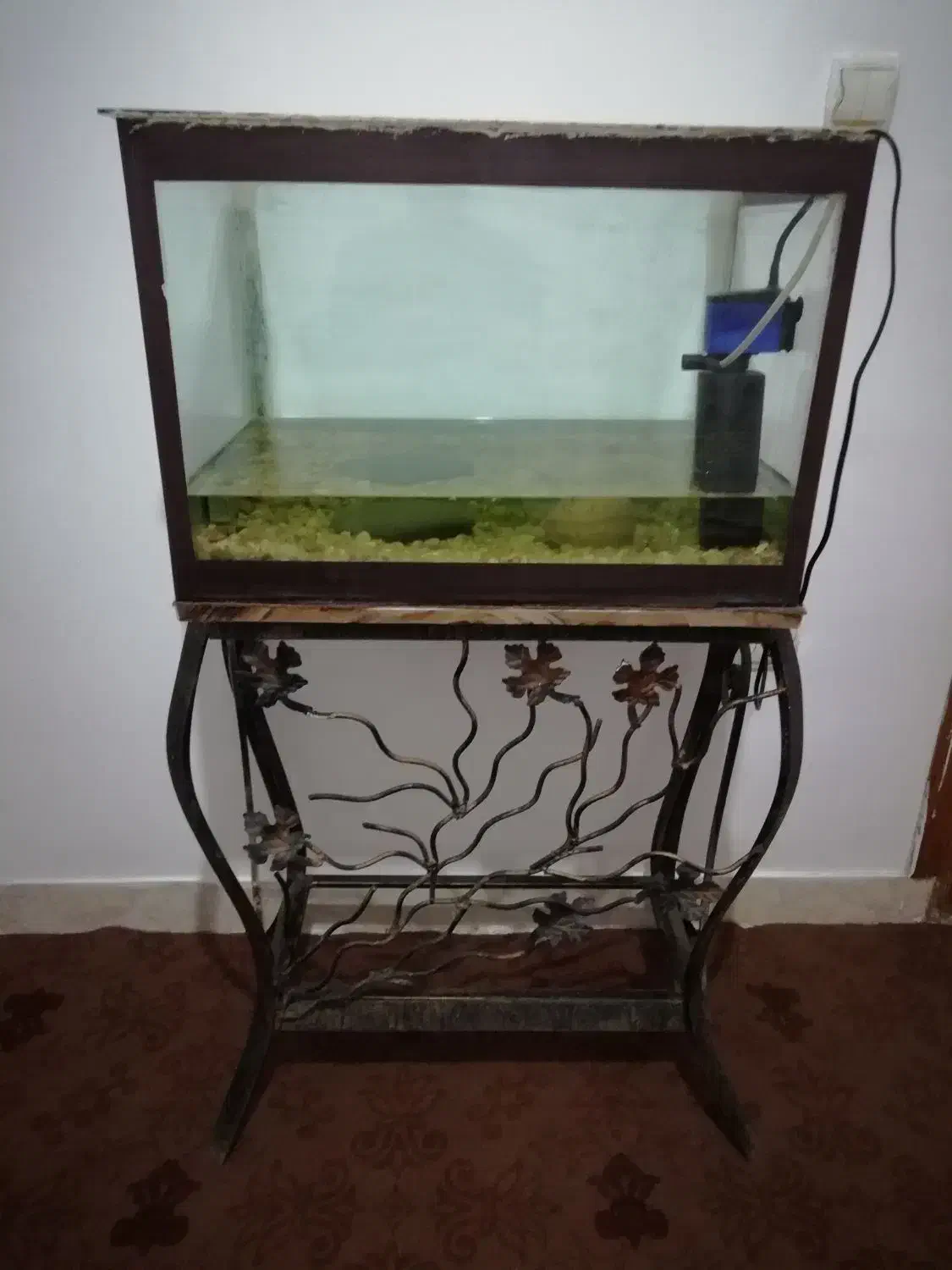 فروش آکواریوم|ماهی|لاهیجان, یوسف آباد|دیوار