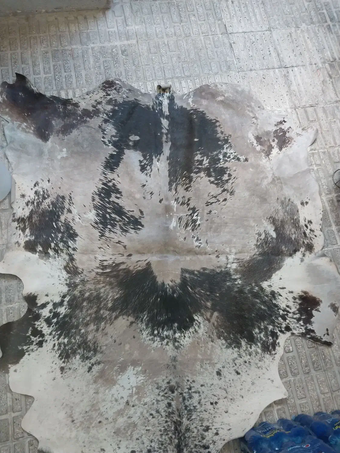 پوست گاو|روفرشی|تهران, نظام‌آباد|دیوار