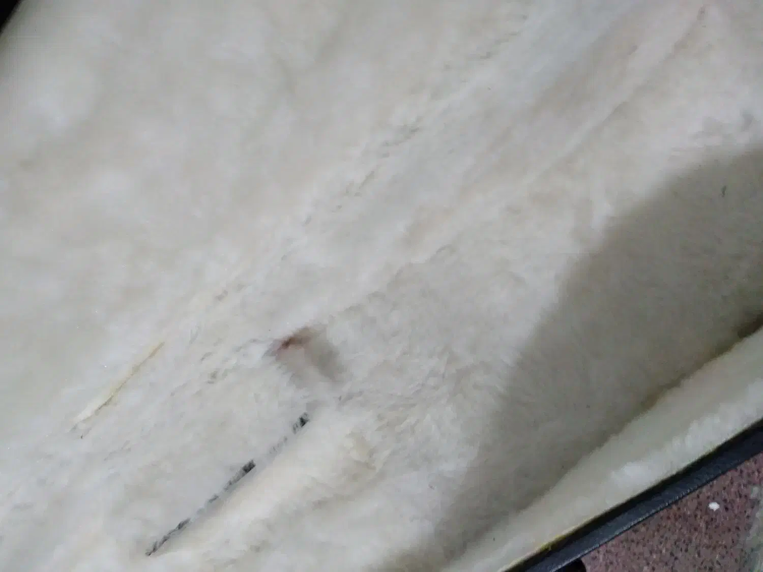 کیف سه تار داخل خز|سازهای سنتی|مشهد, تربیت (صدف)|دیوار