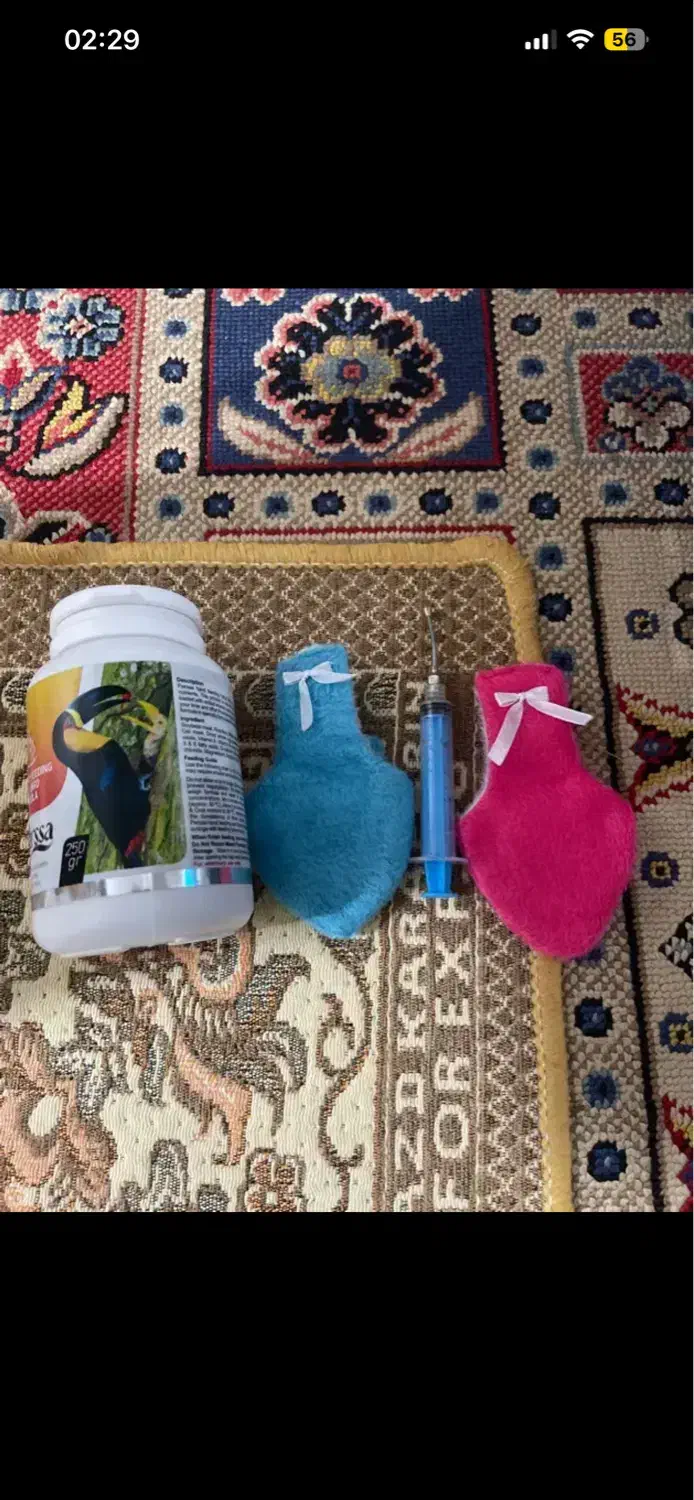 قفس بزرگ پرنده|لوازم جانبی حیوانات|بوشهر, |دیوار