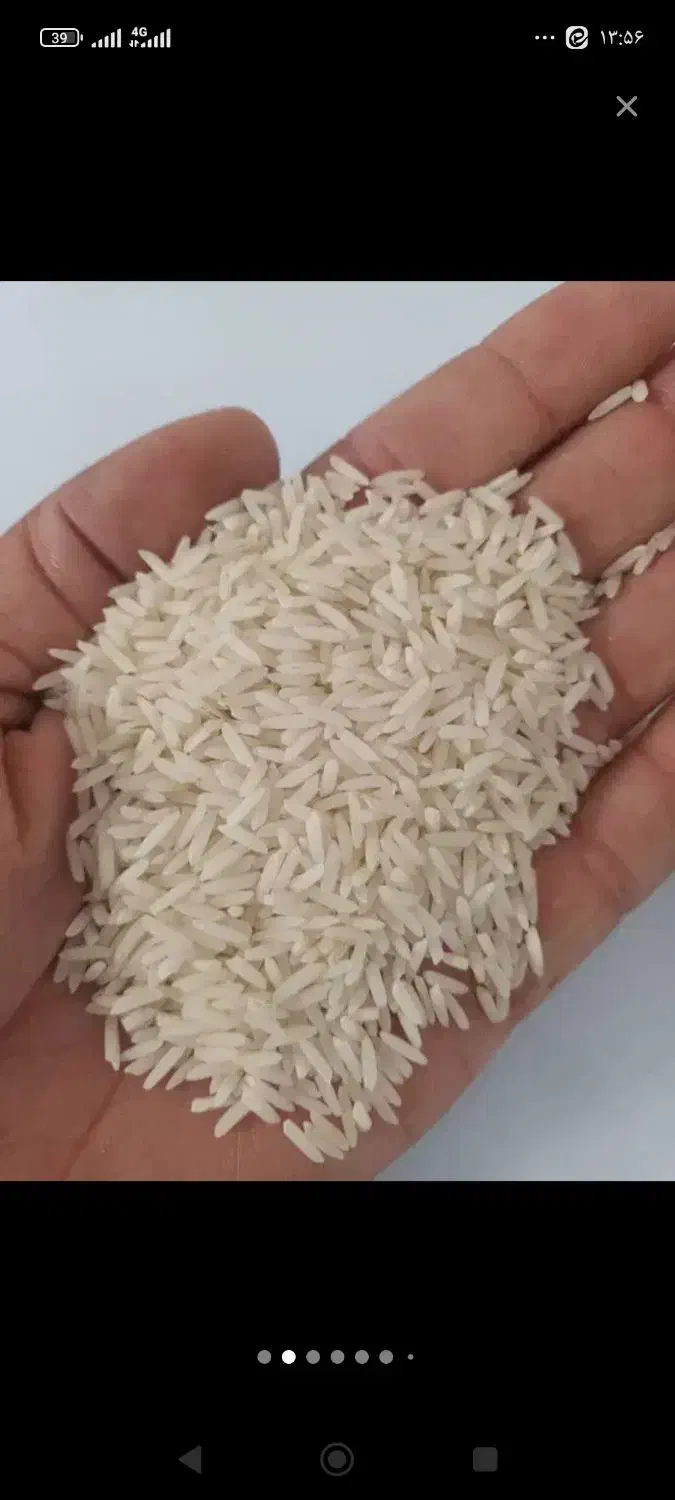 برنج طارم هاشمی درجه یک|خوردنی و آشامیدنی|اسلامشهر, شهرک مفیدی|دیوار