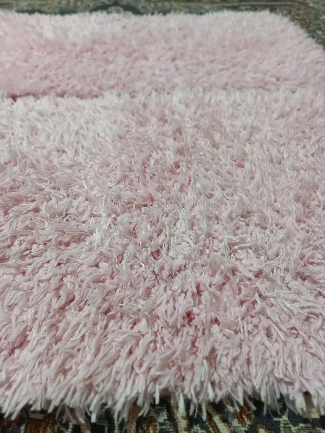 دوعددپادری پشمی|پادری|همدان, |دیوار