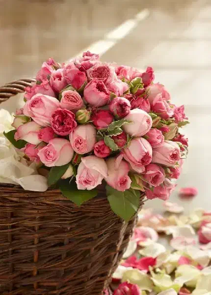 جویای کار مناسب هستم|فعالیت داوطلبانه|خمین, |دیوار