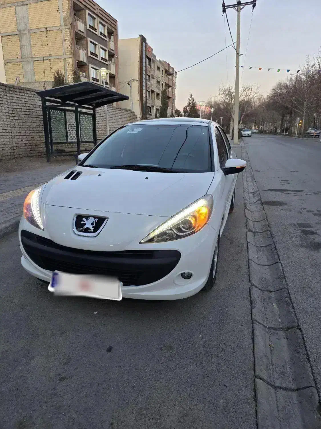 207 پاناروما|خودرو سواری و وانت|اصفهان, جلفا|دیوار