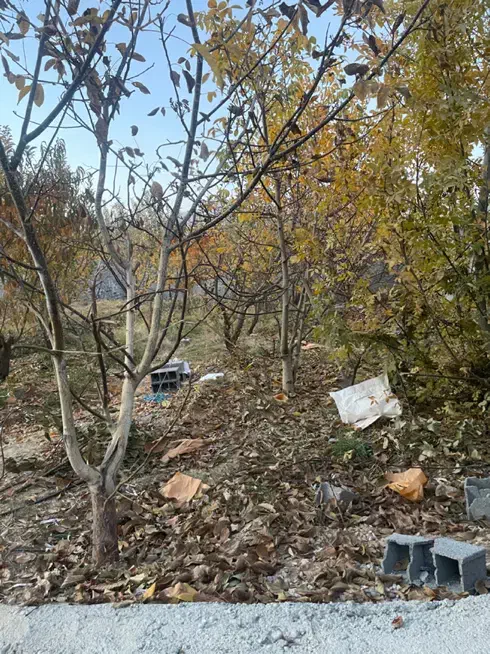 زمین ۴۰۰ متر باغ دماوند جابان سندتکبرگ آب،برق،گاز|فروش زمین و ملک کلنگی|دماوند, دماوند|دیوار