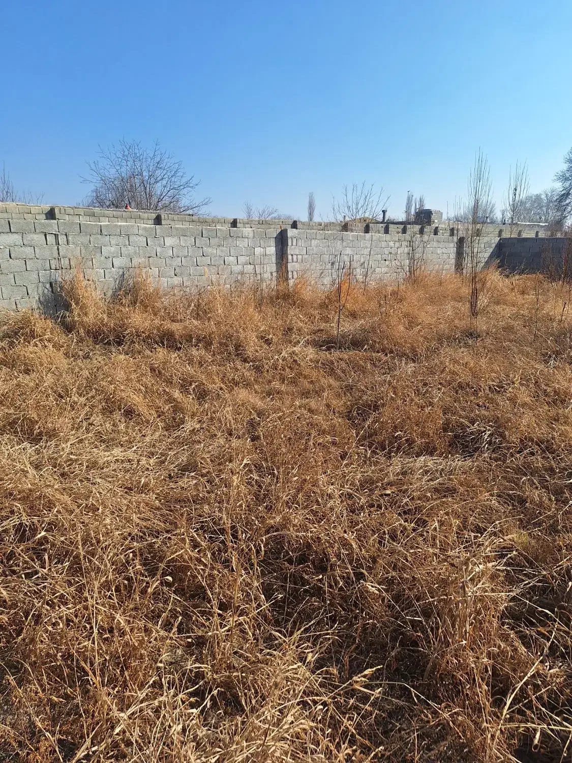 باغچه|فروش زمین و ملک کلنگی|هشتگرد, قاسم آباد بزرگ|دیوار