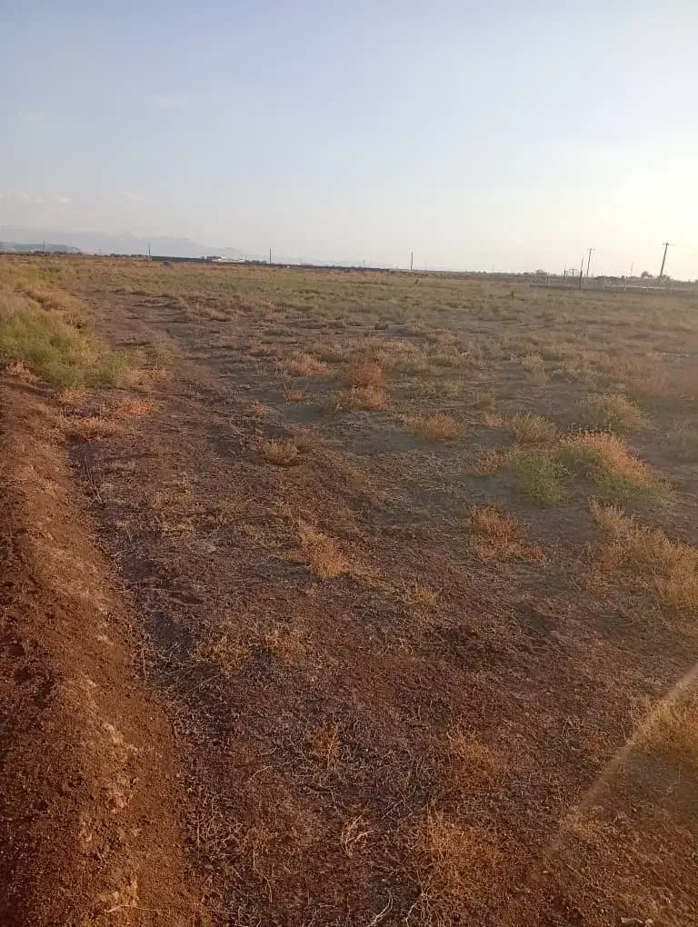 زمین ویلایی ۱۰۷۰ متر با سهم آب|فروش زمین و ملک کلنگی|ایلخچی, |دیوار