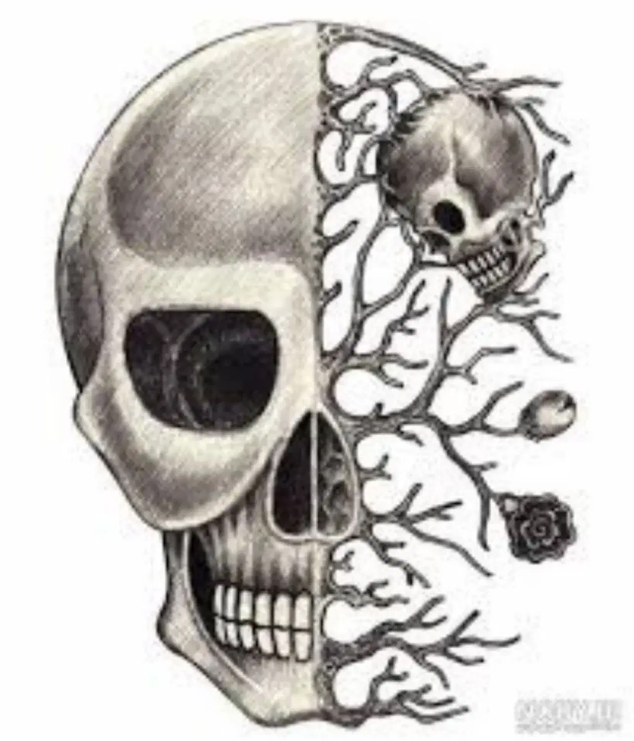 ساخت پوستر|تابلو، نقاشی، عکس|بروجرد, |دیوار