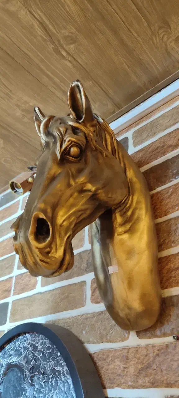 مجسمه پلی استر|مجسمه، تندیس، ماکت|رشت, قاسمیه|دیوار