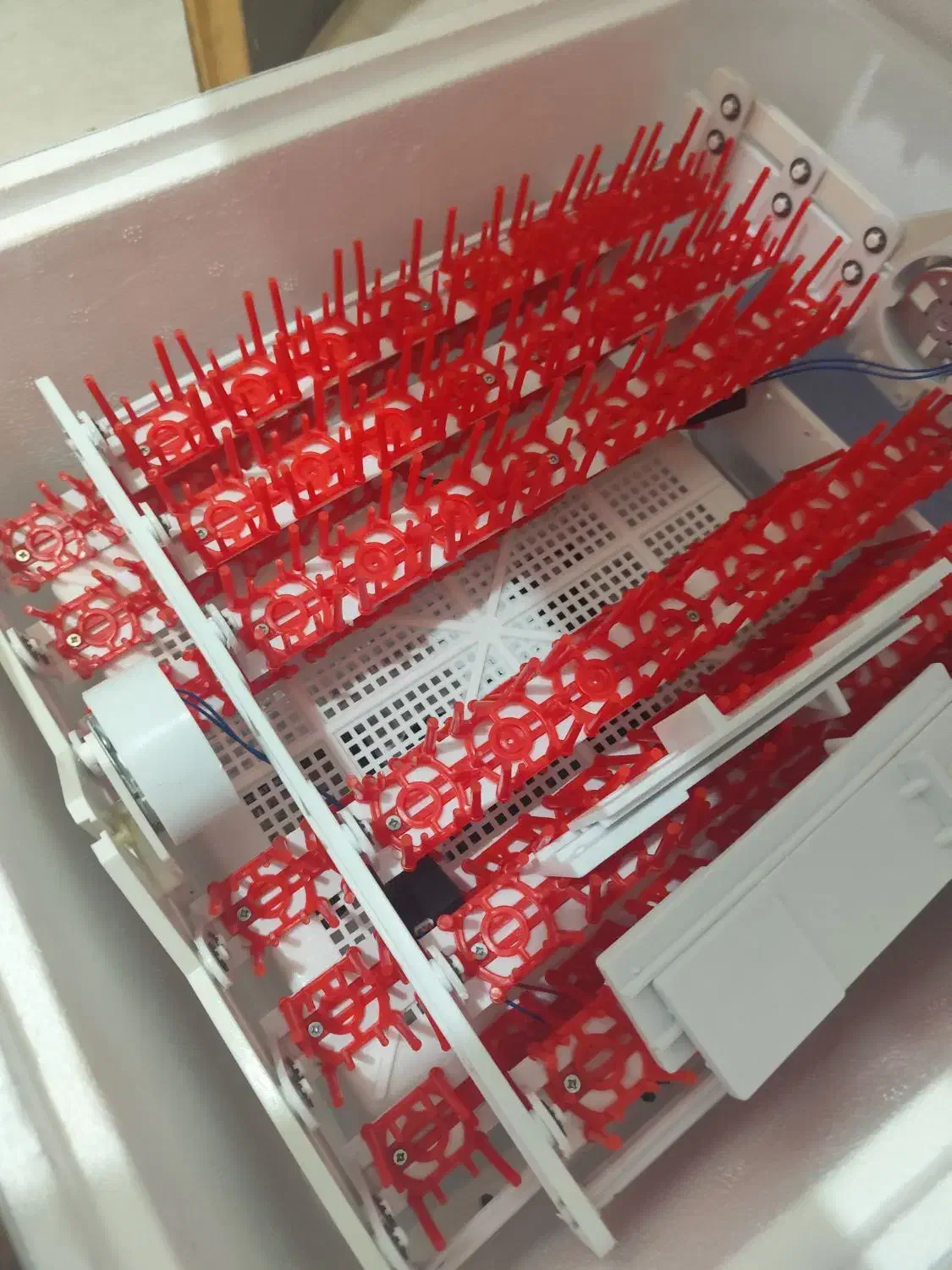 دستگاه جوجه کشی|لوازم جانبی حیوانات|قرچک, مهدیه|دیوار