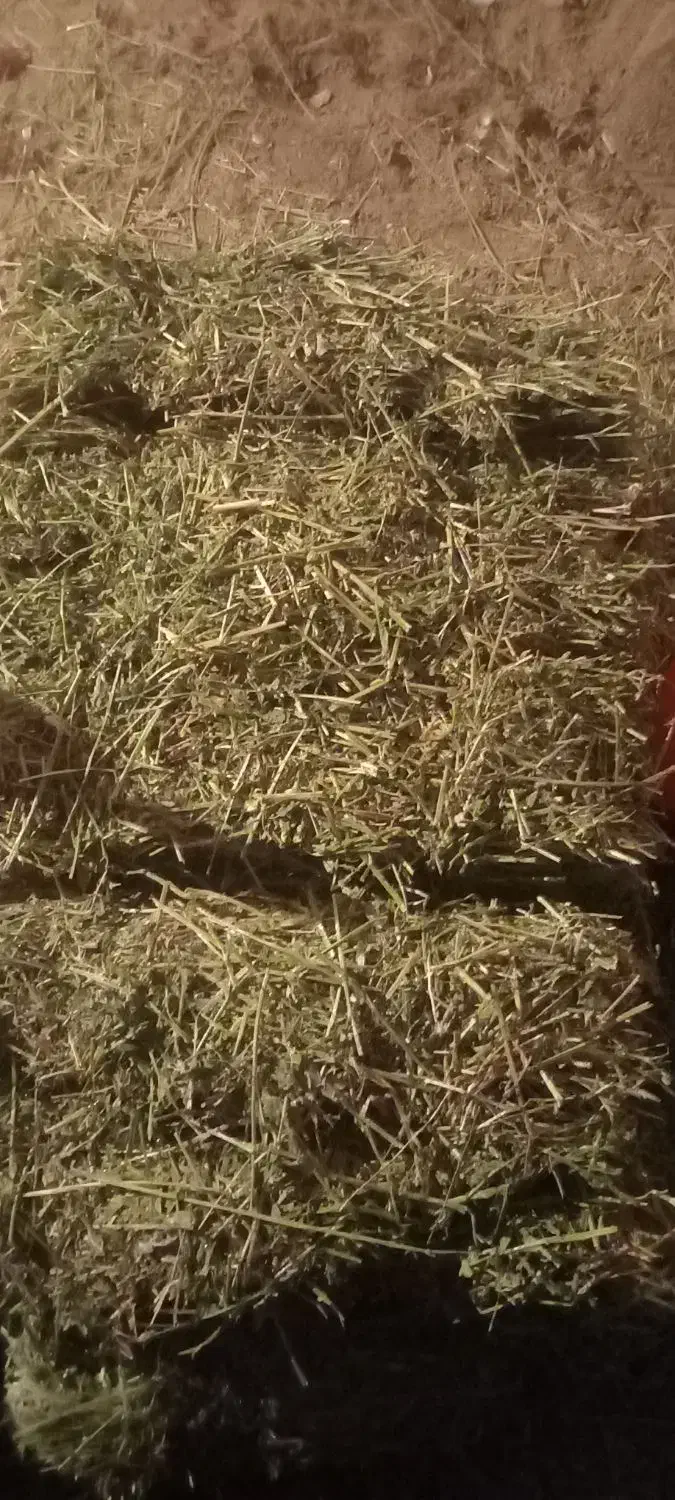 یونجه|لوازم جانبی حیوانات|کشاورز, |دیوار