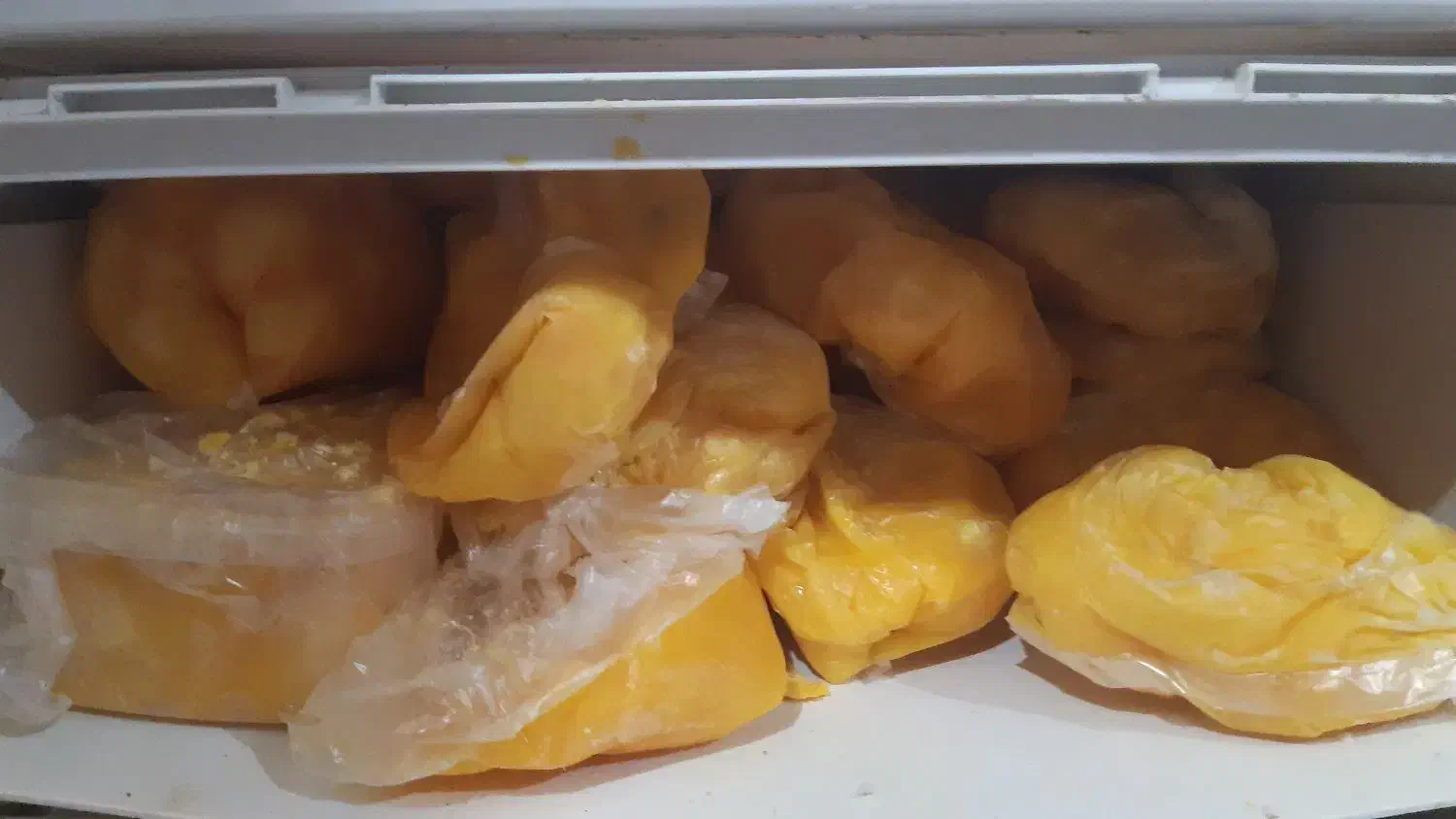 زرده تخم مرغ یخ زده|خوردنی و آشامیدنی|قائمشهر, |دیوار