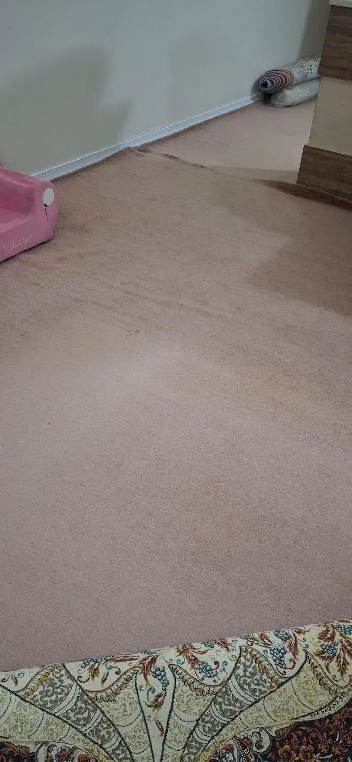 موکت.رنگ پوست پیازی|موکت|اهواز, گلستان|دیوار