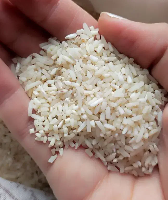 برنج نیم دانه هاشمی درجه یک گیلان|خوردنی و آشامیدنی|تهران, وحیدیه|دیوار