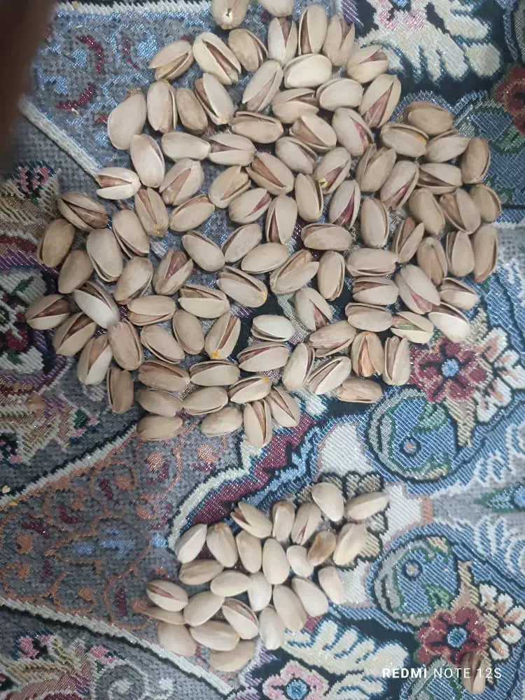 پسته رفسنجان|خوردنی و آشامیدنی|کشکوئیه, |دیوار