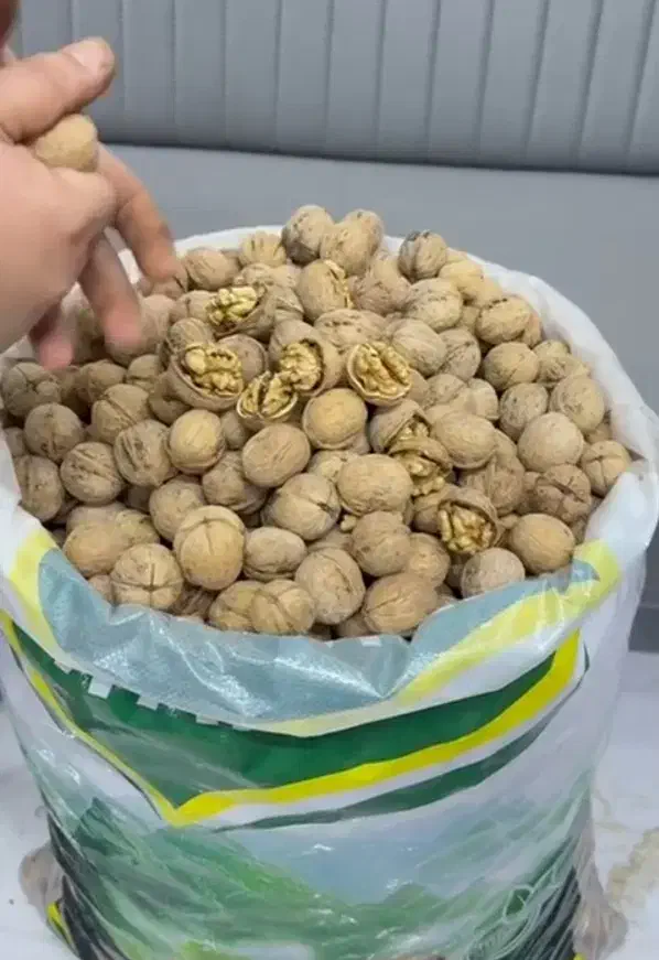 گردو خارجی|خوردنی و آشامیدنی|مهاباد (آذربایجان غربی), |دیوار