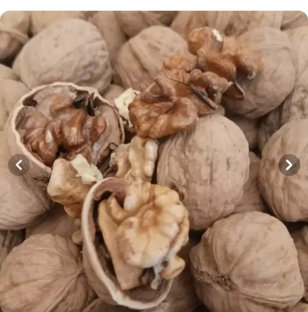 گردوی همدان|خوردنی و آشامیدنی|آمل, |دیوار