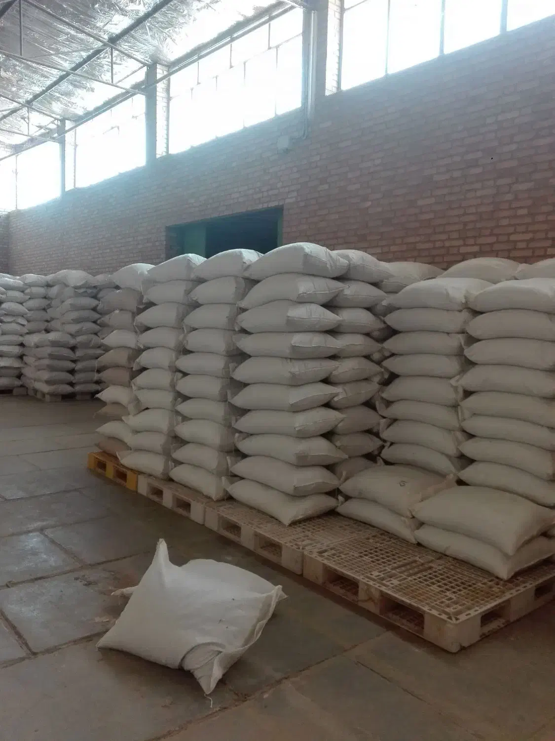 زیره سبز سرت شده بسیار تمیز|عمده‌فروشی|سبزوار, قصبه غربی|دیوار