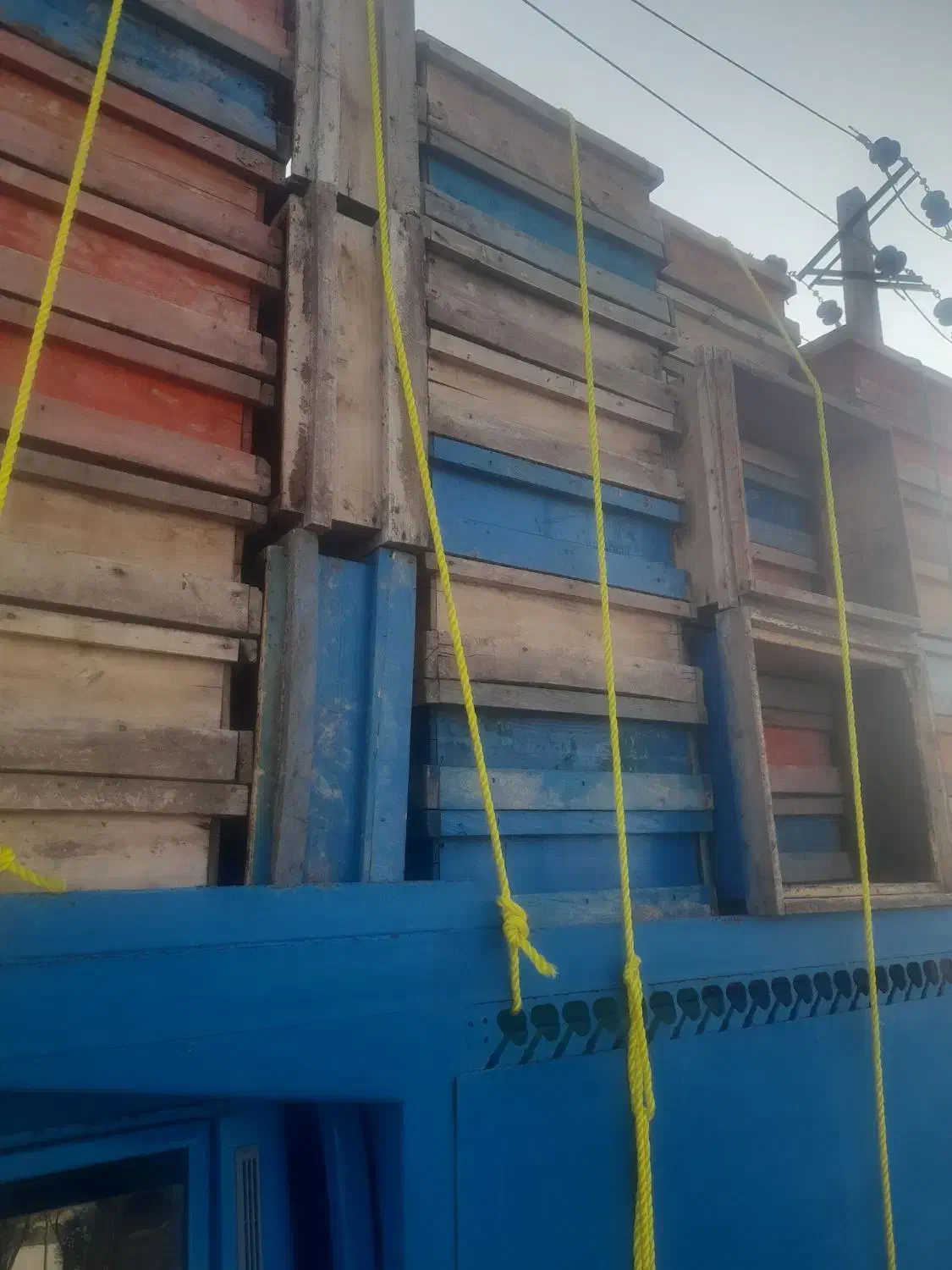 فروش طبق زنبور امریکایی|حیوانات مزرعه|کوراییم, |دیوار