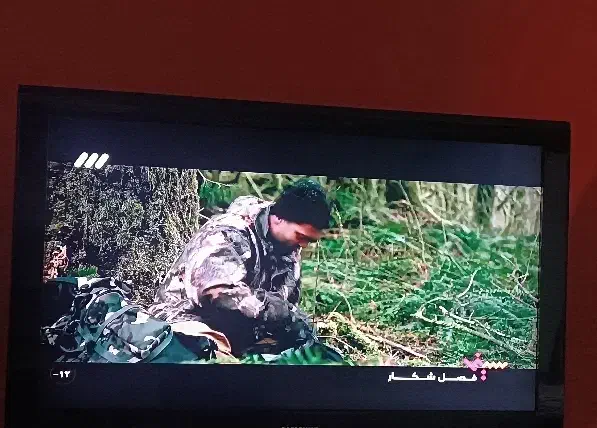 ال سی دی|تلویزیون و پروژکتور|ایذه, |دیوار