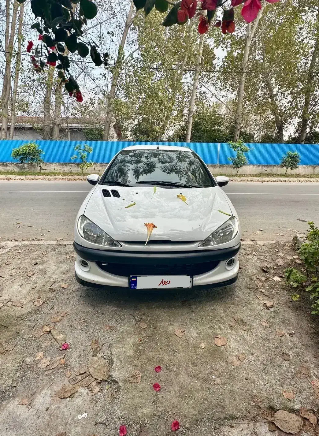 206 تیپ 5 95|خودرو سواری و وانت|ساری, |دیوار