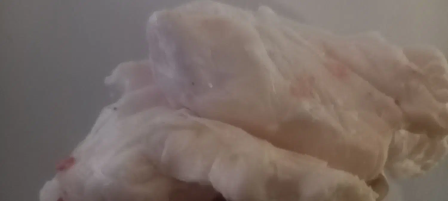 چربی‌(پی)بز‌|خوردنی و آشامیدنی|کرمانشاه, |دیوار