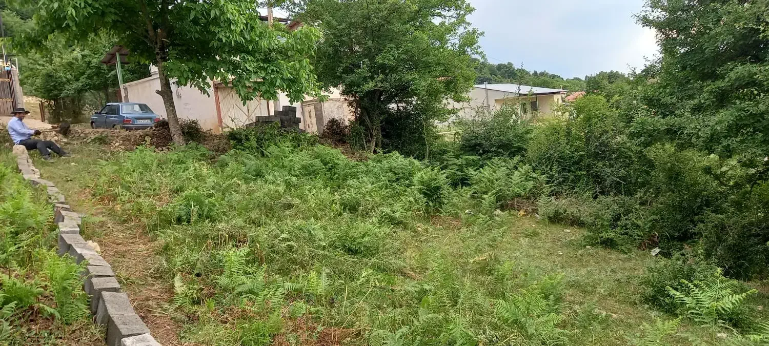 فروش زمین با قابلیت ساخت داخل بافت کاربری مسکونی|فروش زمین و ملک کلنگی|کیاسر, |دیوار