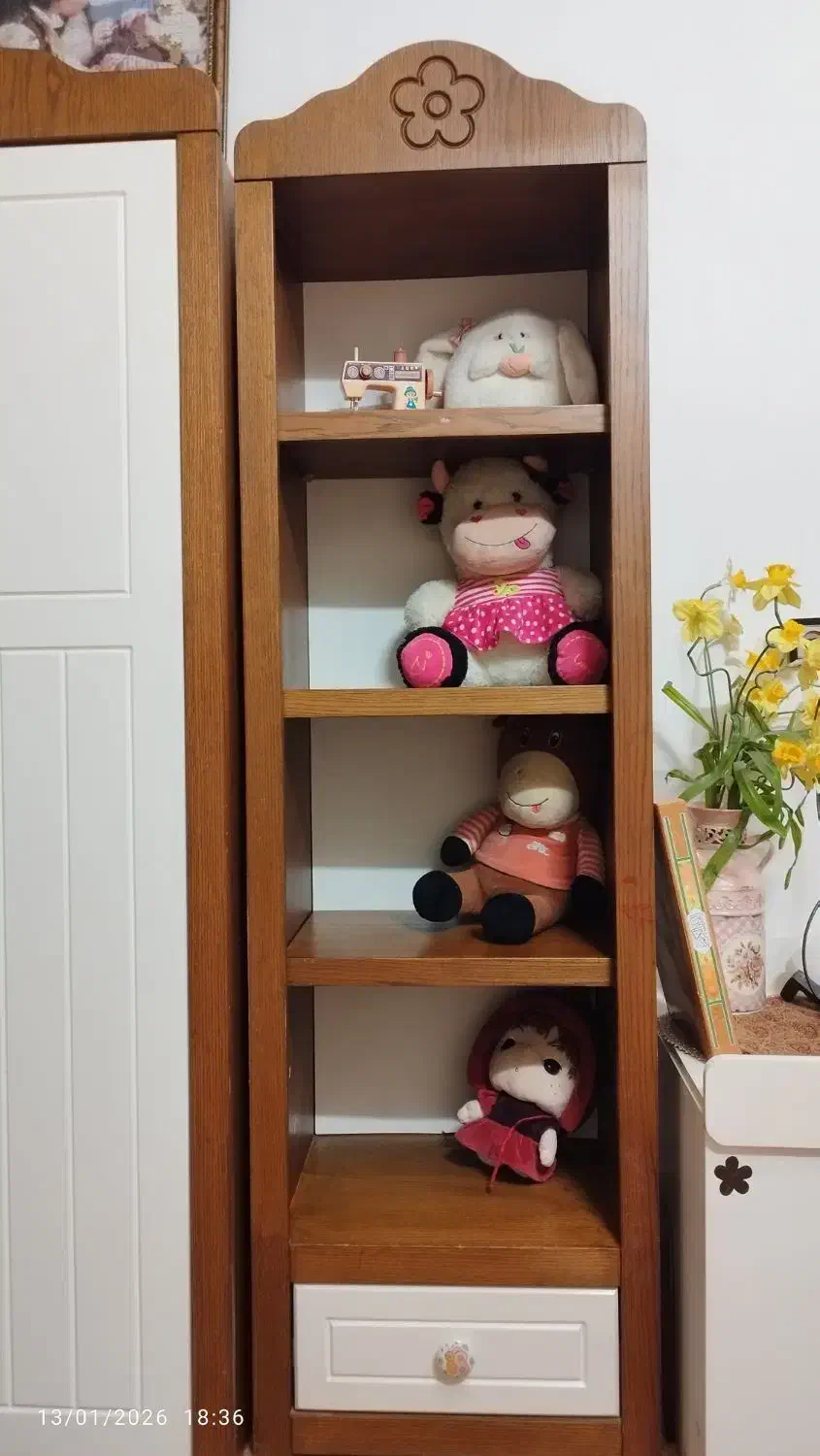 سرویس خواب کودک و نوجوان|تخت و سرویس خواب|گرگان, |دیوار