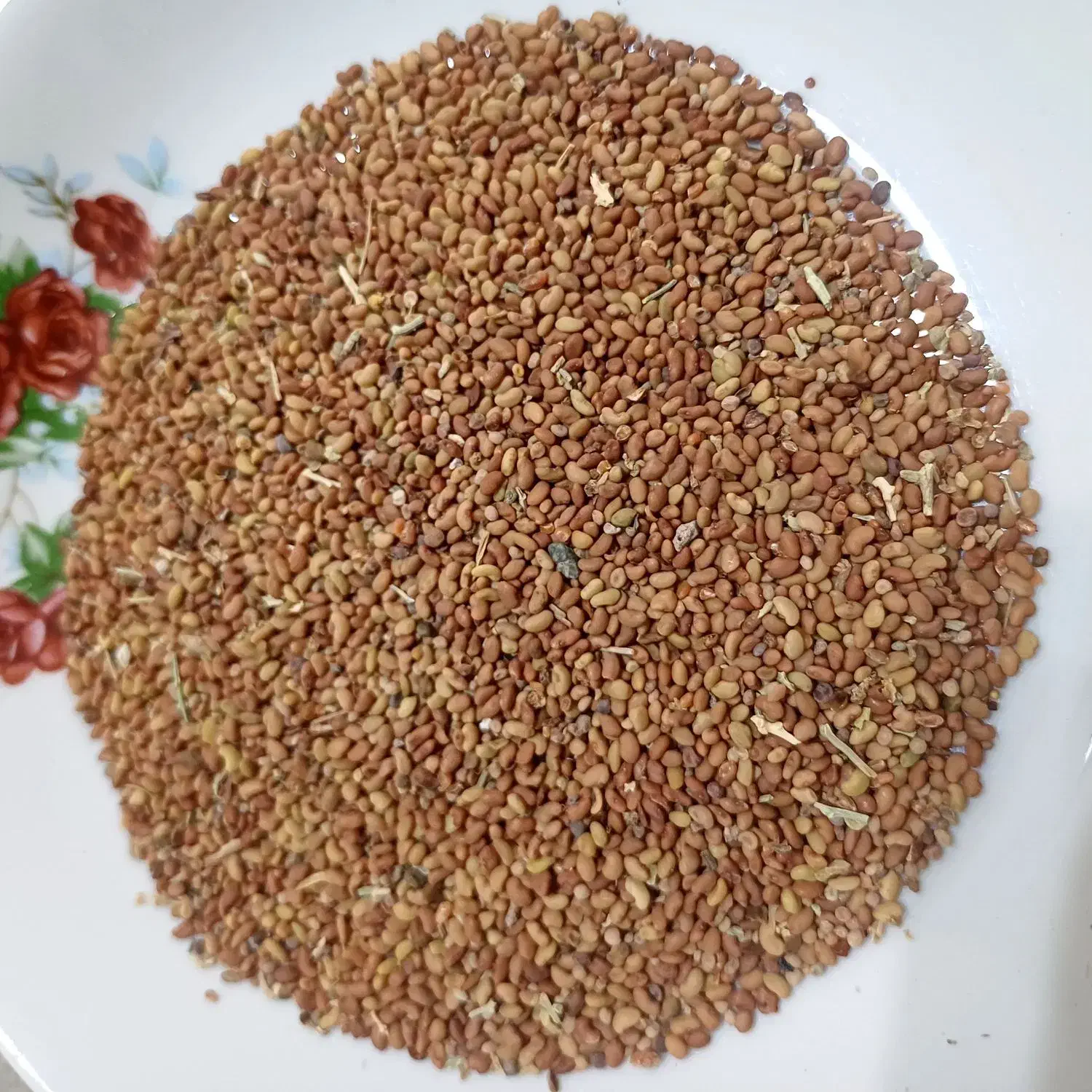 بذر یونجه همدانی درجه یک|گل و گیاه طبیعی|تهران, استخر|دیوار